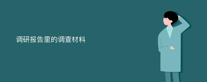 调研报告里的调查材料