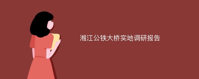 湘江公铁大桥实地调研报告