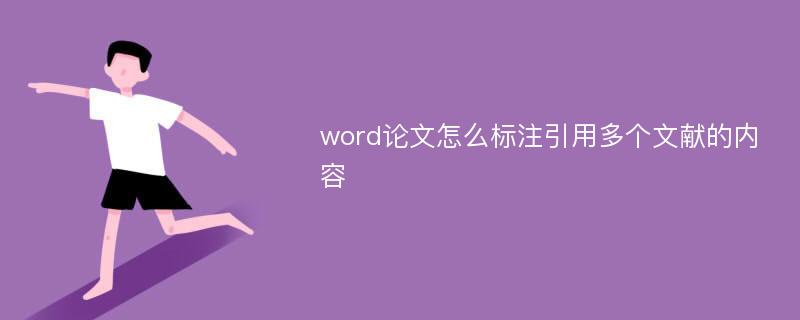 word论文怎么标注引用多个文献的内容