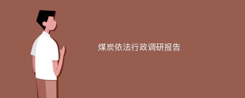 煤炭依法行政调研报告