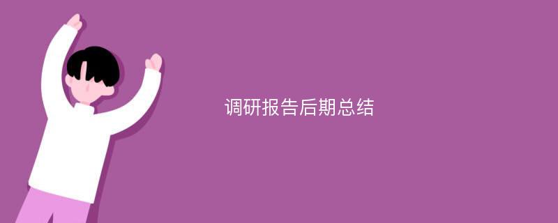 调研报告后期总结