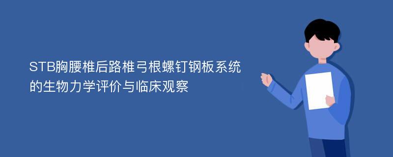 STB胸腰椎后路椎弓根螺钉钢板系统的生物力学评价与临床观察