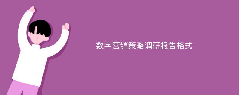 数字营销策略调研报告格式