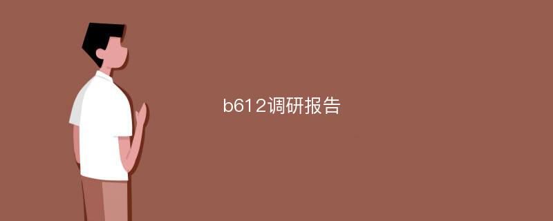 b612调研报告