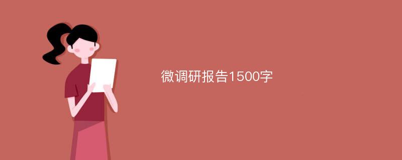 微调研报告1500字