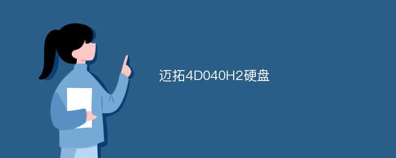 迈拓4D040H2硬盘